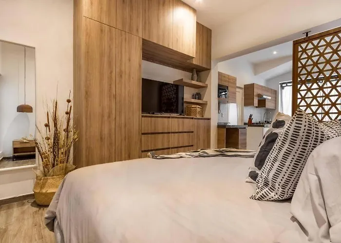 1 - Loft Privado Cama King Size Roma Sur Mexico City